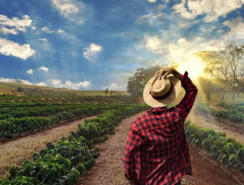 Coffee farmer, source: Shutterstock