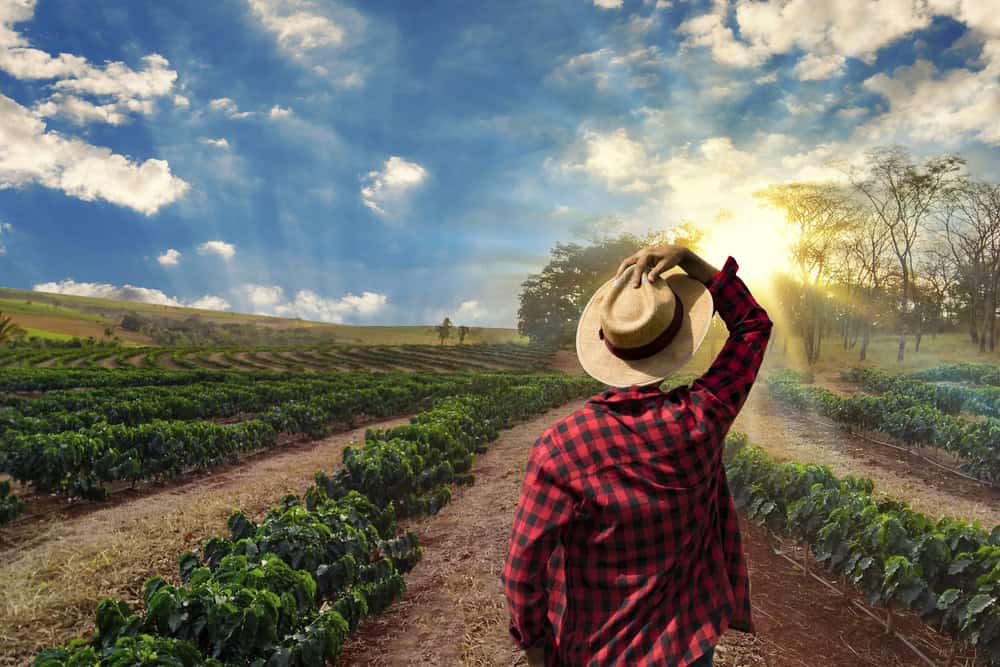 Coffee farmer, source: Shutterstock