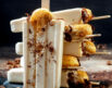 Tiramisu popsicles, source: Spano's
