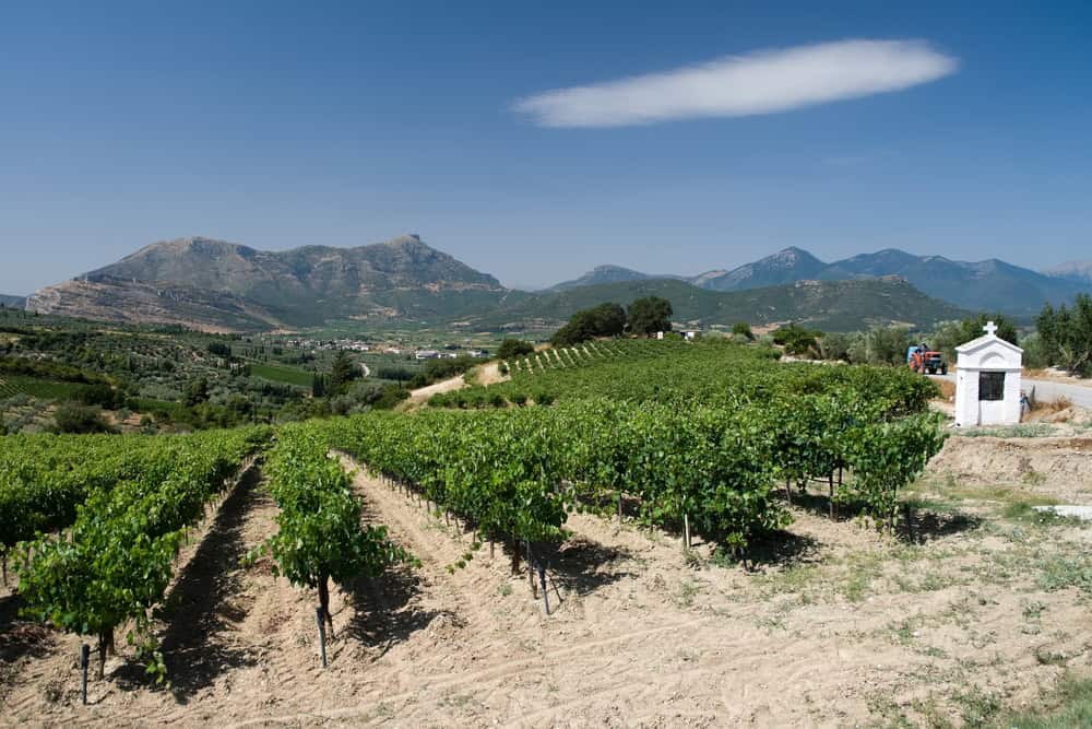 Νεμέα, πηγή: winetourism.com