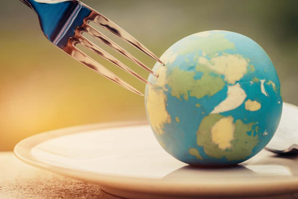 Global food concept, source: Shutterstock