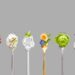 Anuga 2025 spoon concept
